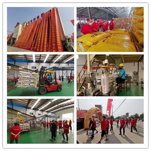 百万吨酵素肥基地落成 亿丰实业集团发布会释放行业重磅信息