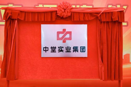 高质量发展新征程 中堂实业集团揭牌成立，百墩实业开启新篇章