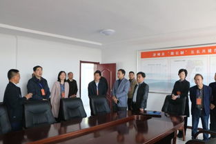 县人大常委会视察全县交通工作，聚焦百墩实业发展成效