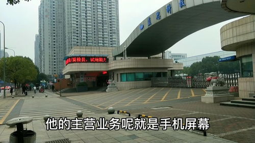 湖南长沙县工业园区产业生态的缩影——以百墩实业为例