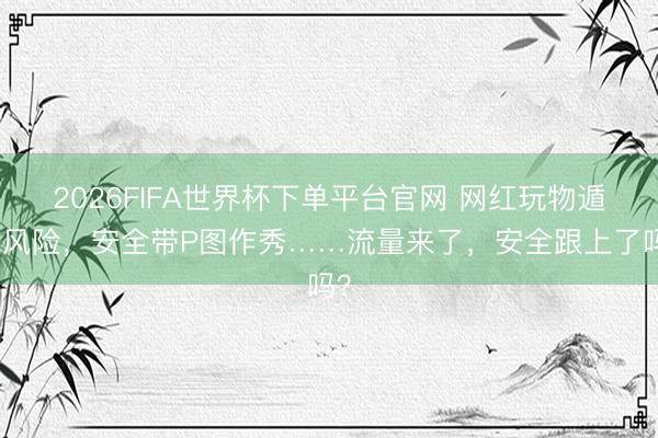 2026FIFA世界杯下单平台官网 网红玩物遁藏风险，安全带