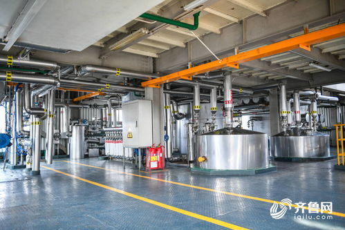 滨州 粮油金三角 粮安记者行走进香驰控股 渤海实业