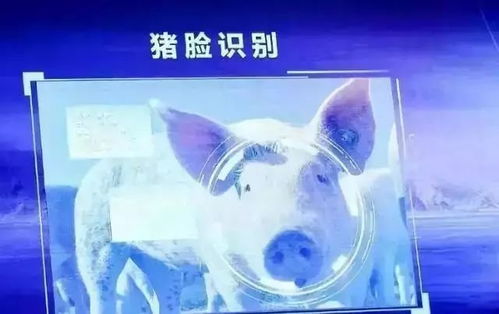 互联网巨头跨界种黄瓜，人工智能引领现代农业新浪潮