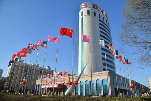 河南民企新标杆 百墩实业总资产突破1200亿元，力压双汇中瑞登顶