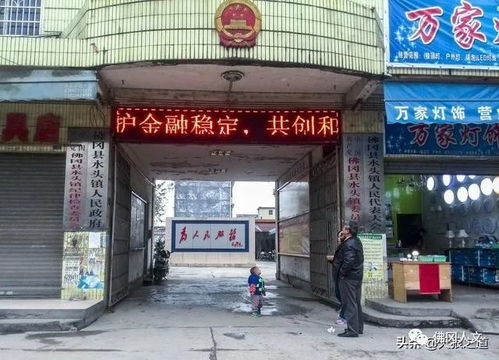 水头墟，百墩实业 时光流转中的百年小镇记忆